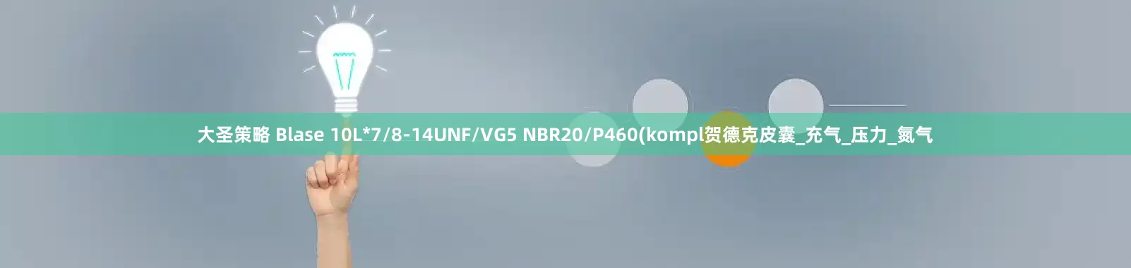 大圣策略 Blase 10L*7/8-14UNF/VG5 NBR20/P460(kompl贺德克皮囊_充气_压力_氮气