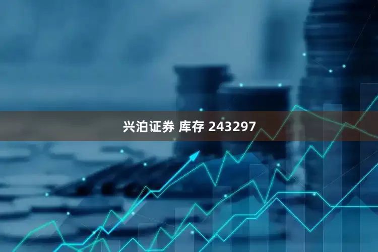 兴泊证券 库存 243297